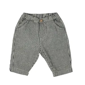 Blue Striped Pants