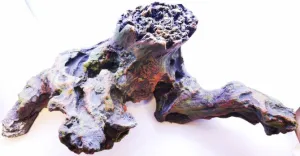 FOREST ROOT AQUARIUM DECOR