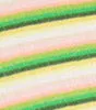 SAMBA STRIPE BRALETTE