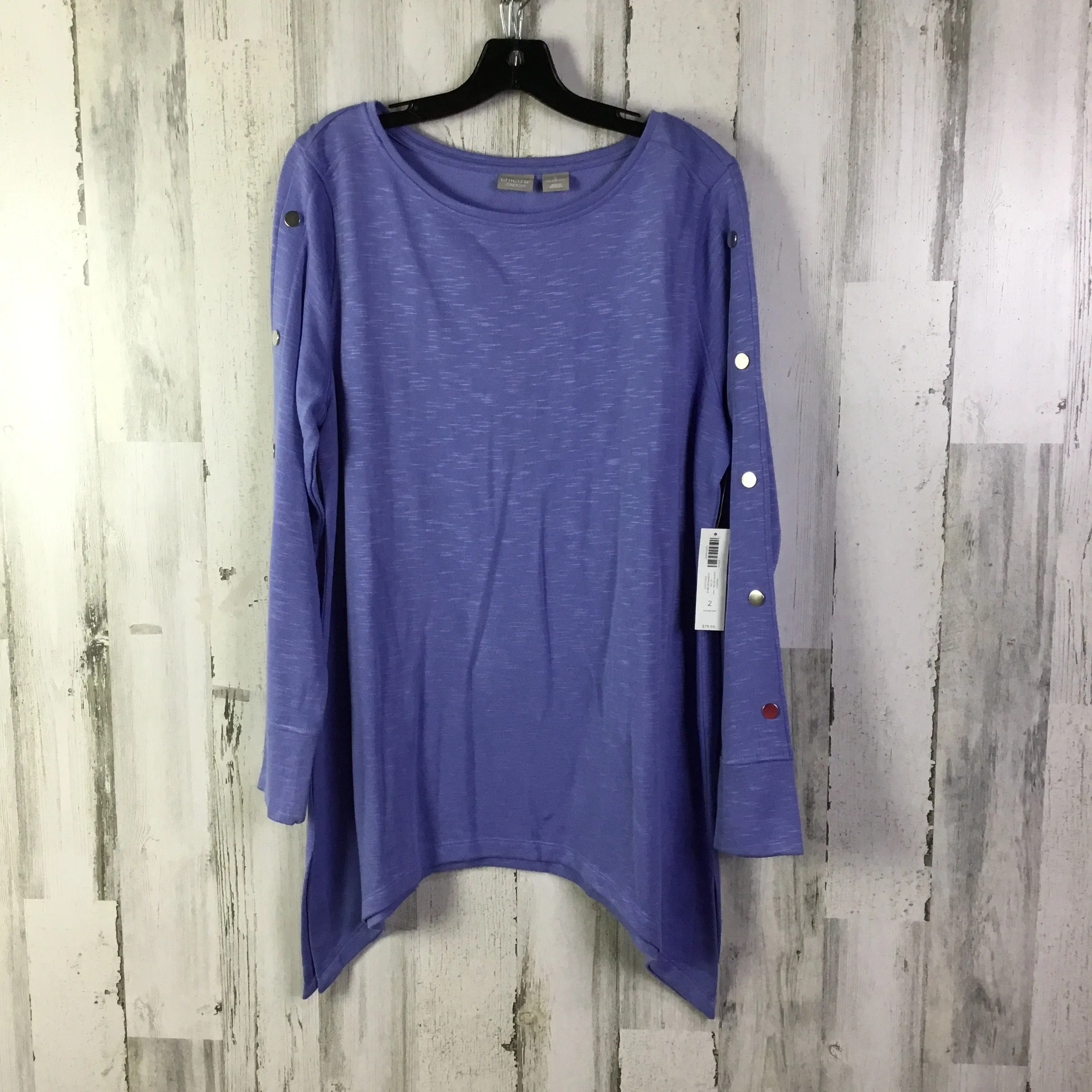 Tunic Long Sleeve By Chicos In Blue, Size: L