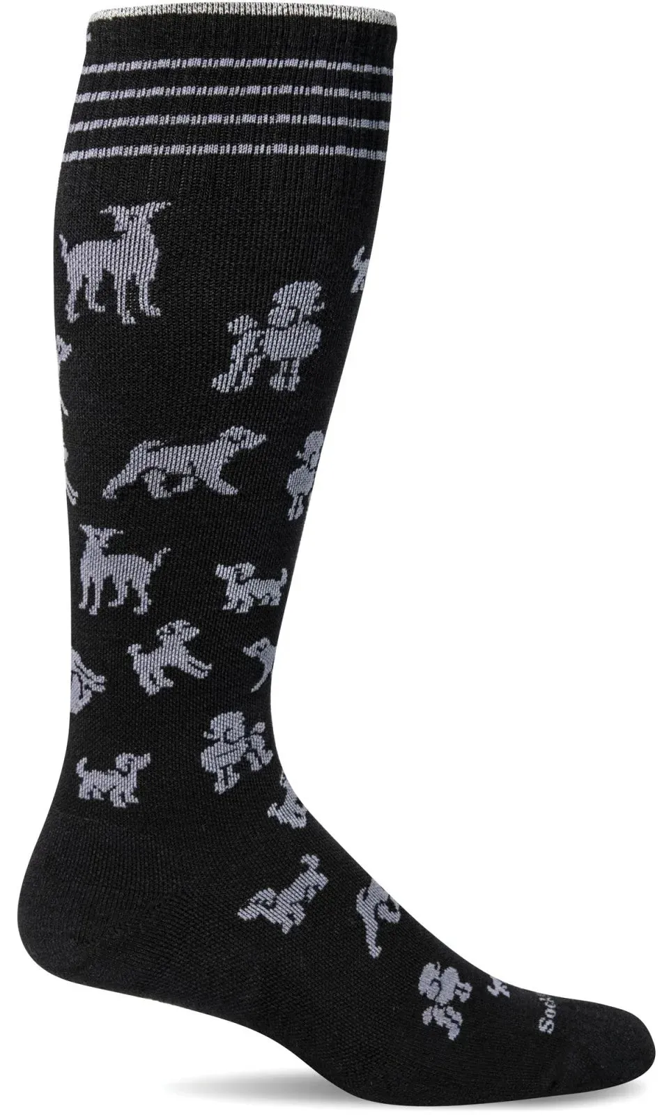 Women's Best in Show | Moderate Graduated Compression Socks